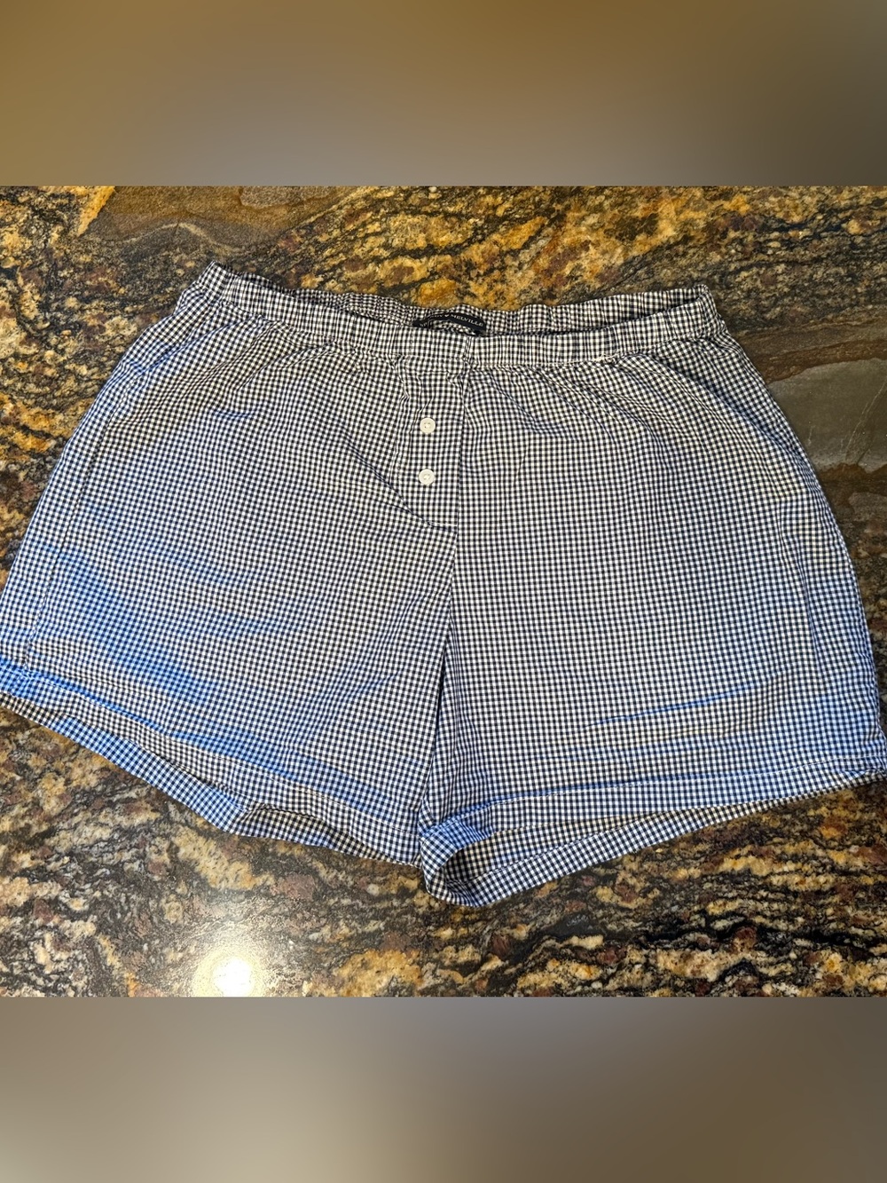 Brandy Melville Navy Gingham Shorts